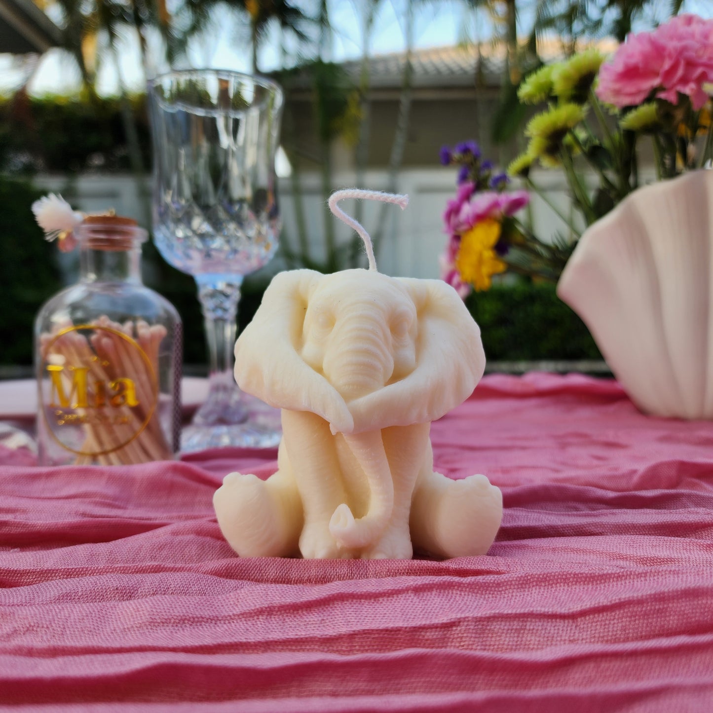 The Wise Elephants