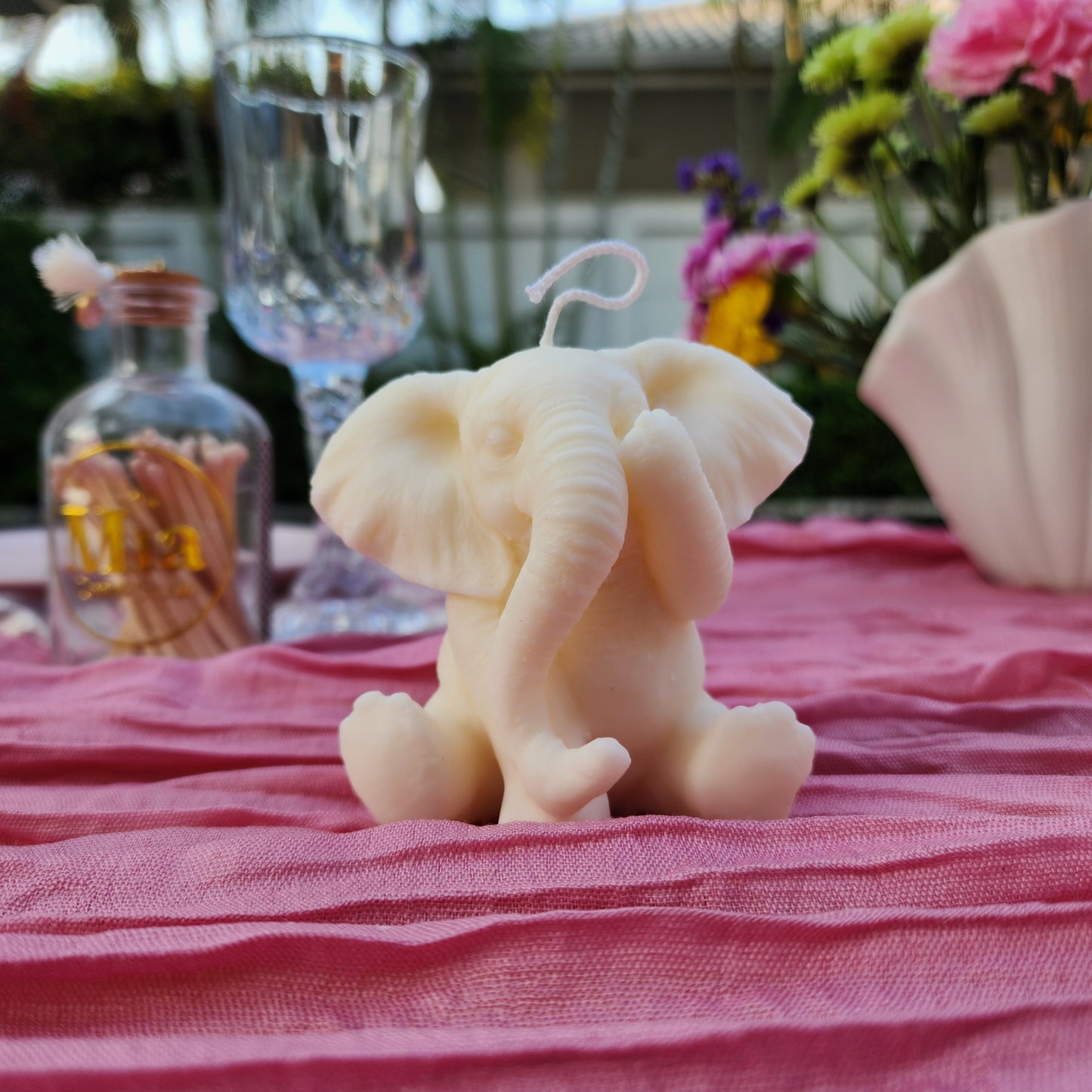 The Wise Elephants